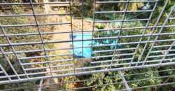 MIDC – Andheri East