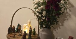 Vasant Oasis, Andheri East